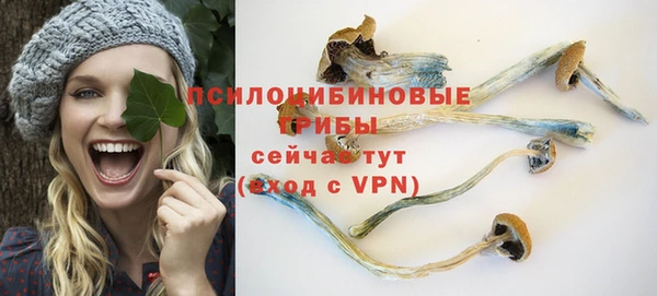 а пвп мука Инсар