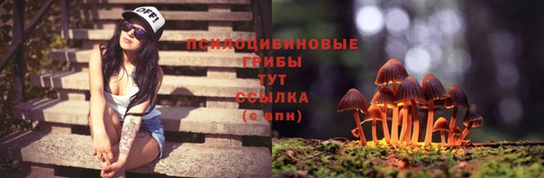 амф Инта