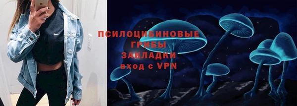 дживик Иннополис