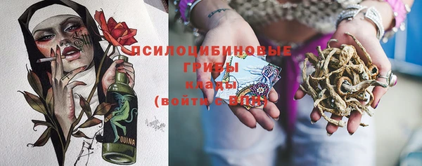дживик Иннополис