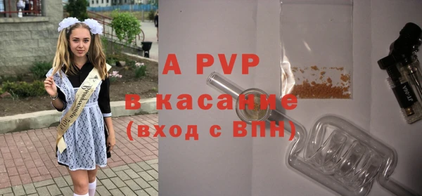 амф Инта