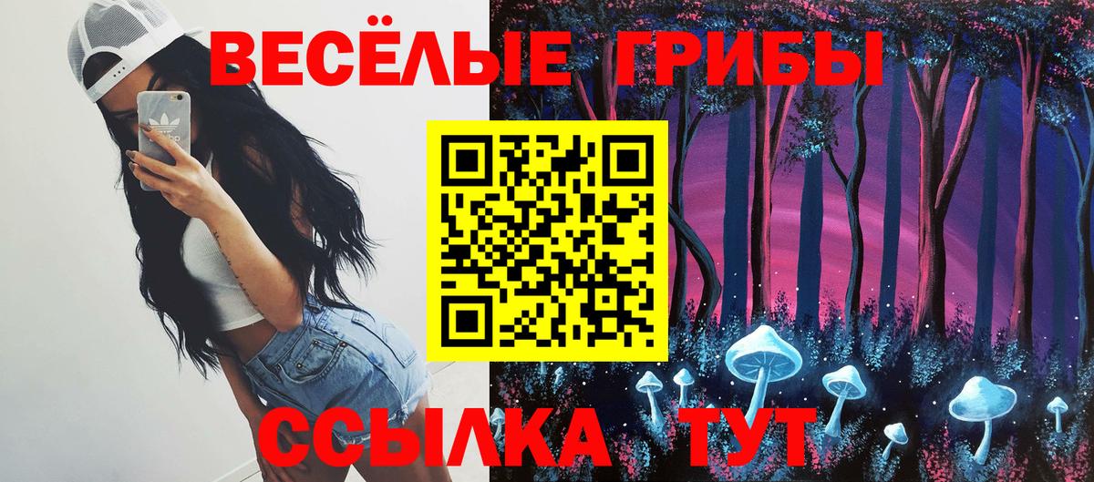Галлюциногенные грибы Psilocybe Михайловка