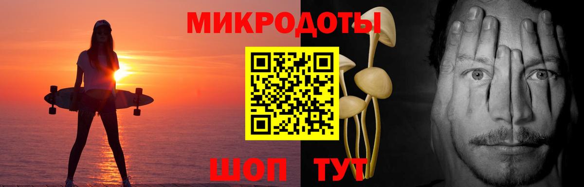 Михайловка  Галлюциногенные грибы мухоморы  Галлюциногенные грибы Psilocybe  купить   Вход с VPN 